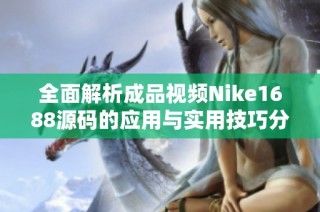 全面解析成品视频Nike1688源码的应用与实用技巧分享
