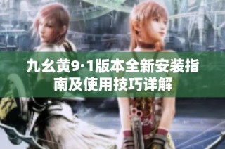 九幺黄9·1版本全新安装指南及使用技巧详解