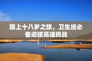 踏上十八岁之旅，卫生纸必备迎接高速挑战