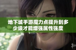 地下城手游魔力点提升到多少级才能增强属性强度