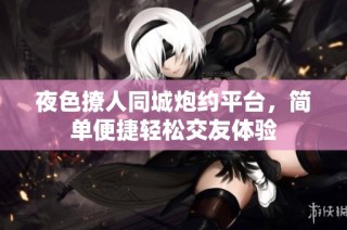 夜色撩人同城炮约平台，简单便捷轻松交友体验