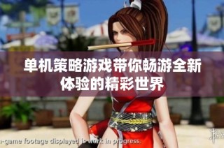 单机策略游戏带你畅游全新体验的精彩世界