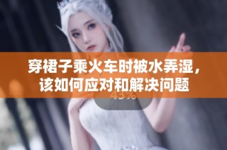 穿裙子乘火车时被水弄湿，该如何应对和解决问题