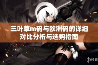 三叶草m码与欧洲码的详细对比分析与选购指南