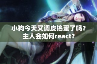 小狗今天又调皮捣蛋了吗？主人会如何react？