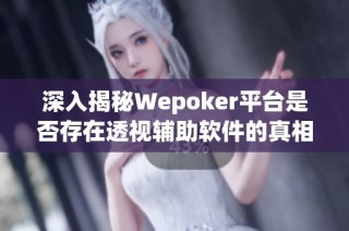 深入揭秘Wepoker平台是否存在透视辅助软件的真相