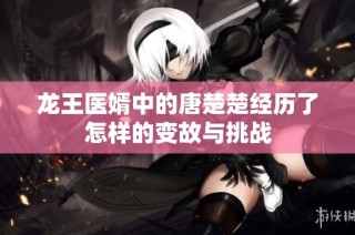 龙王医婿中的唐楚楚经历了怎样的变故与挑战