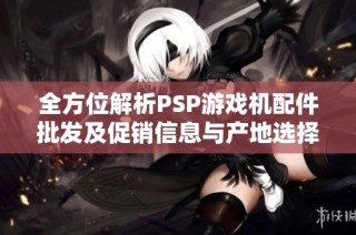 全方位解析PSP游戏机配件批发及促销信息与产地选择