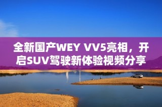 全新国产WEY VV5亮相，开启SUV驾驶新体验视频分享
