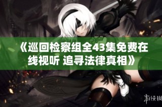 《巡回检察组全43集免费在线视听 追寻法律真相》