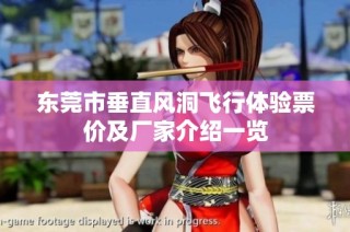 东莞市垂直风洞飞行体验票价及厂家介绍一览