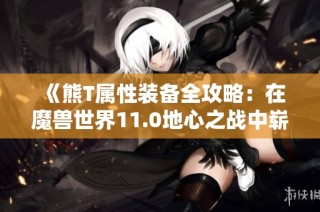 《熊T属性装备全攻略：在魔兽世界11.0地心之战中崭露锋芒》