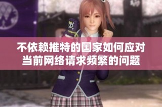 不依赖推特的国家如何应对当前网络请求频繁的问题
