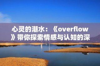 心灵的潮水：《overflow》带你探索情感与认知的深渊与交织关系
