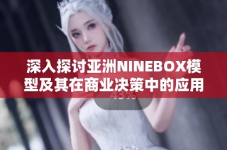 深入探讨亚洲NINEBOX模型及其在商业决策中的应用