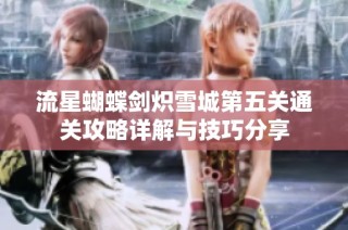 流星蝴蝶剑炽雪城第五关通关攻略详解与技巧分享
