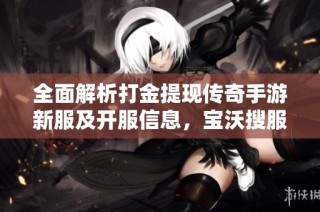 全面解析打金提现传奇手游新服及开服信息，宝沃搜服网为您提供最新动态