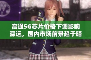 高通5G芯片价格下调影响深远，国内市场前景趋于暗淡