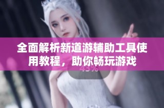 全面解析新道游辅助工具使用教程，助你畅玩游戏