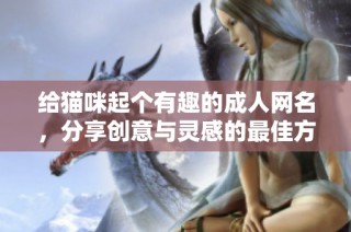 给猫咪起个有趣的成人网名，分享创意与灵感的最佳方法