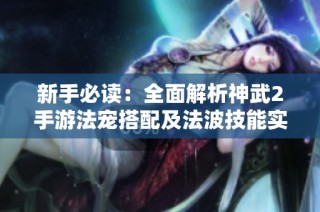 新手必读：全面解析神武2手游法宠搭配及法波技能实战技巧分享