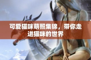可爱猫咪萌照集锦，带你走进猫咪的世界
