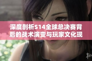 深度剖析S14全球总决赛背后的战术演变与玩家文化现象