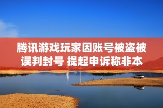 腾讯游戏玩家因账号被盗被误判封号 提起申诉称非本人违规行为
