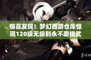 惊喜发现！梦幻西游仓库惊现120级无级别永不磨损武器