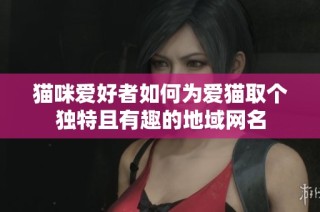 猫咪爱好者如何为爱猫取个独特且有趣的地域网名