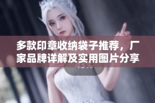 多款印章收纳袋子推荐，厂家品牌详解及实用图片分享