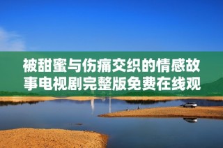 被甜蜜与伤痛交织的情感故事电视剧完整版免费在线观看