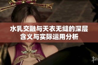 水乳交融与天衣无缝的深层含义与实际运用分析