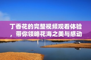 丁香花的完整视频观看体验，带你领略花海之美与感动