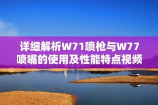 详细解析W71喷枪与W77喷嘴的使用及性能特点视频完整版