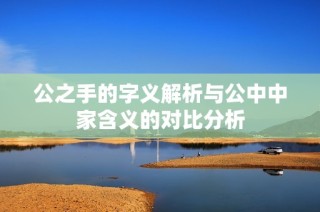 公之手的字义解析与公中中家含义的对比分析