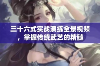 三十六式实战演练全景视频，掌握传统武艺的精髓