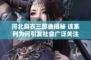 河北麻衣三部曲揭秘 该系列为何引发社会广泛关注