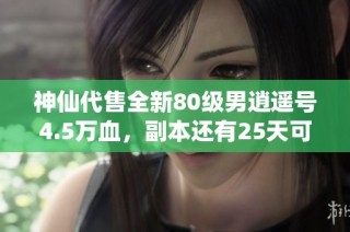 神仙代售全新80级男逍遥号4.5万血，副本还有25天可玩