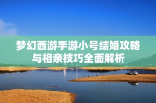 梦幻西游手游小号结婚攻略与相亲技巧全面解析
