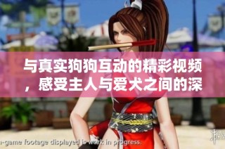 与真实狗狗互动的精彩视频，感受主人与爱犬之间的深厚情感