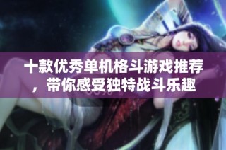 十款优秀单机格斗游戏推荐，带你感受独特战斗乐趣