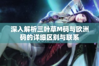 深入解析三叶草M码与欧洲码的详细区别与联系