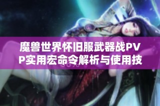 魔兽世界怀旧服武器战PVP实用宏命令解析与使用技巧