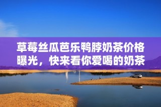 草莓丝瓜芭乐鸭脖奶茶价格曝光，快来看你爱喝的奶茶多少钱！
