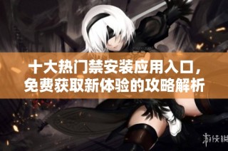 十大热门禁安装应用入口，免费获取新体验的攻略解析