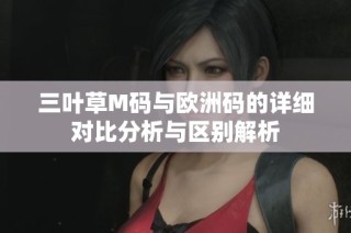 三叶草M码与欧洲码的详细对比分析与区别解析