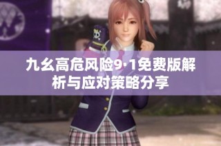 九幺高危风险9·1免费版解析与应对策略分享