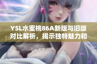 YSL水蜜桃86A新版与旧版对比解析，揭示独特魅力和风格变化