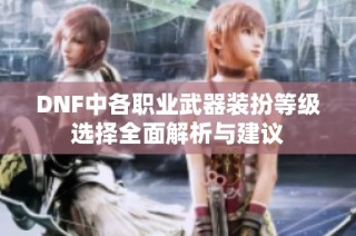 DNF中各职业武器装扮等级选择全面解析与建议